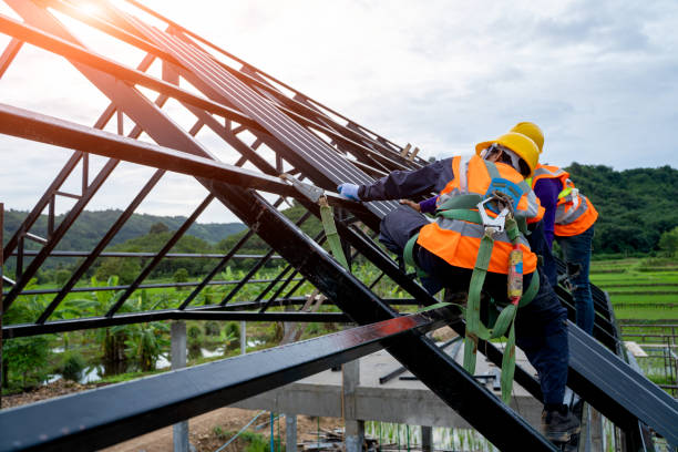 Best New Roof Installation  in Scottville, MI