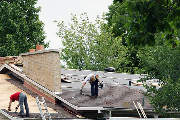 Best Roof Leak Repair  in Scottville, MI