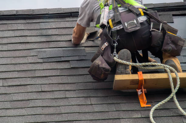 Best Roof Waterproofing Services  in Scottville, MI